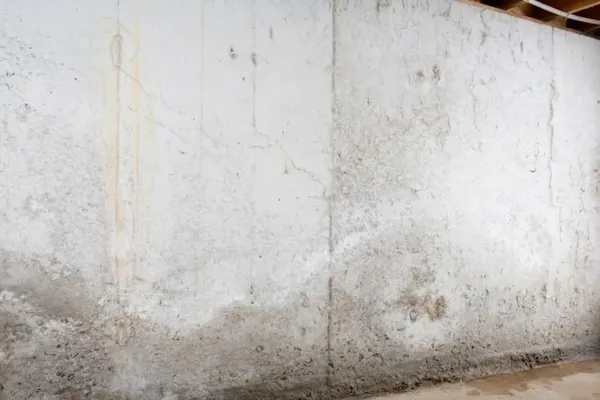 Torn and sagging polyethylene vapor barrier in a crawl space