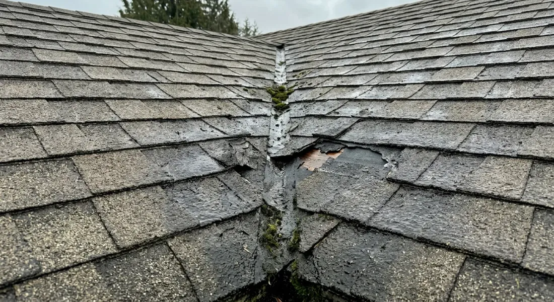 Roof Leak Repair in South Hill